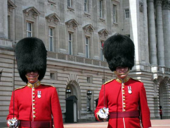 Changing the Guard of Buckingham Palace,obLK{a̋߉q