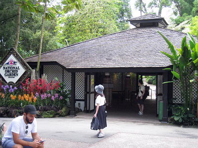  the natinal orchid garden