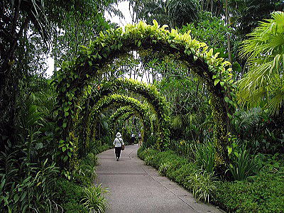 inside of the national orchid garden